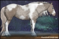 Horse Color:Silver Grullo Tobiano Frame Rabicano