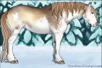 Horse Color:White Spotted Liver Red Onyx Splash 