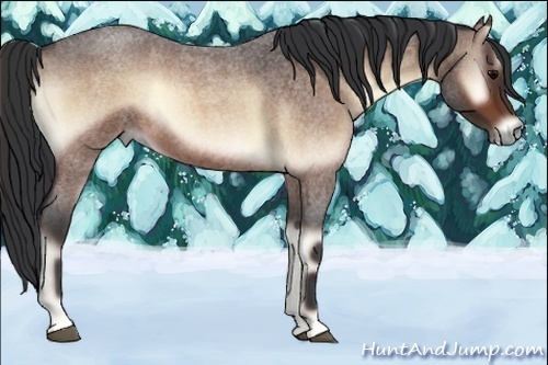 Horse Color:Bay Roan Onyx Sabino 