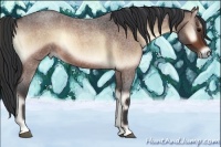 Horse Color:Bay Roan Onyx Sabino