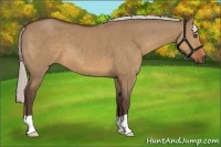 Horse Color:Silver Brown Dun 