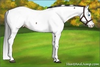 Horse Color:Brown Splash Fewspot