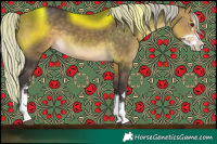 Horse Color:White Spotted Silver Buckskin 