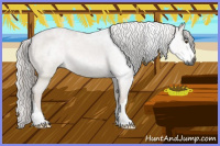 Horse Color:Gray Liver Chestnut