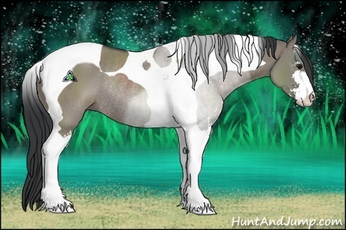 Horse Color:Grullo Sabino Tobiano Rabicano