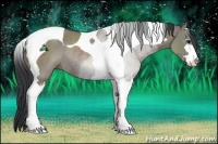 Horse Color:Grullo Sabino Tobiano Rabicano