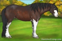 Horse Color:Brown Sabino Varnish 