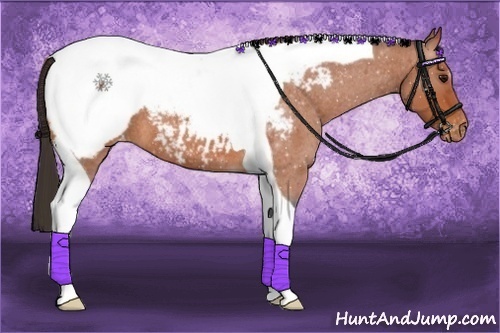 Horse Color:Bay Roan Tobiano Snowcap