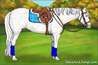 Horse Color:Silver Smoky Creme Ice Dun Sabino