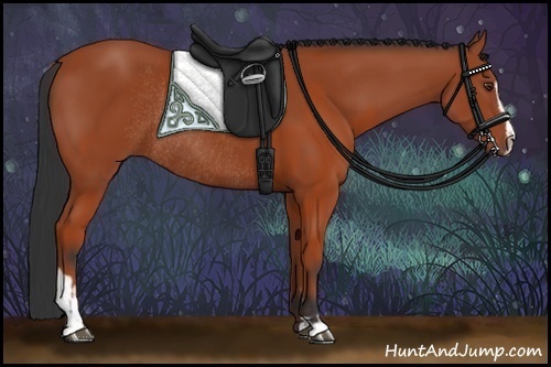 Horse Color:Bay Sabino Rabicano and Bay Sabino Rabicano