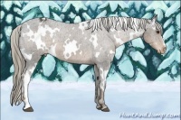Horse Color:White Spotted Liver Chestnut Mushroom Varnish