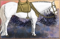Horse Color:Liver Chestnut Pearl Snowflake Varnish