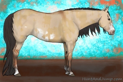 Horse Color:Bay Dun Sabino Rabicano  and Bay Dun Sabino Frame Rabicano 