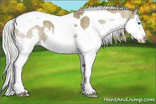 Horse Color:Silver Grullo Splash Tobiano 
