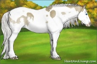Horse Color:Silver Grullo Splash Tobiano 
