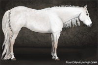 Horse Color:Gray Liver Red Roan 