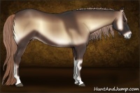 Horse Color:Liver Red Onyx