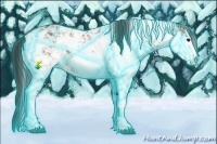 Horse Color:Thunderstruck Buckskin Sabino