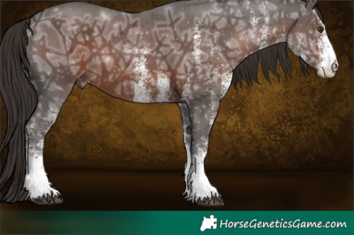 Horse Color:White Spotted Liver Chestnut Ice