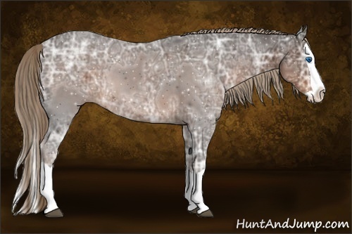 Horse Color:Liver Chestnut Ice Splash 