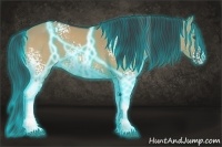 Horse Color:Thunderstruck White Spotted Bay Dun
