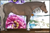 Horse Color:Silver Black