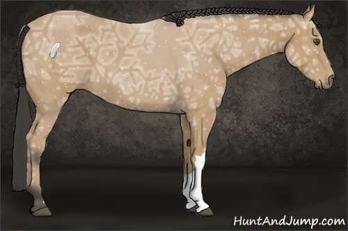 Horse Color:Buckskin Ice 
