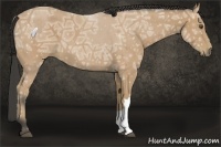Horse Color:Buckskin Ice 
