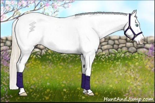 Horse Color:Perlino Blanket 