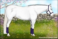 Horse Color:Perlino Blanket
