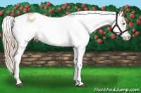 Horse Color:White Spotted Liver Chestnut Pearl Snowflake Varnish 