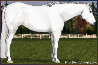 Horse Color:Gray Bay Tobiano Rabicano 