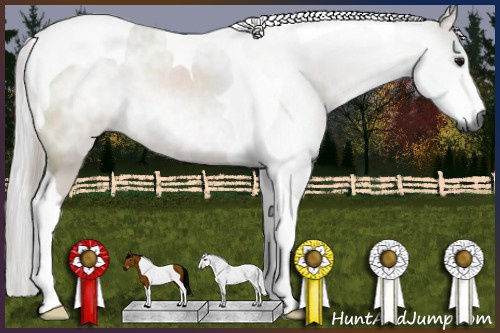 Horse Color:Gray Bay Tobiano Rabicano
