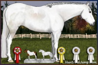 Horse Color:Gray Bay Tobiano Rabicano 