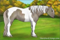 Horse Color:Silver Grullo Tobiano Rabicano