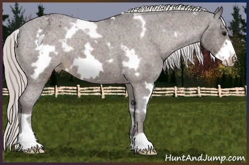 Horse Color:White Spotted Silver Brown Roan Frame Appaloosa 
