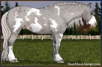 Horse Color:White Spotted Silver Brown Roan Frame Appaloosa 