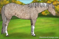 Horse Color:Chocolate Palomino Ice Tobiano Snowflake Varnish