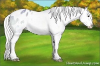 Horse Color:Watercolor Silver Blue Onyx Chinchilla Ice Splash Appaloosa