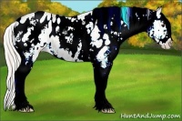 Horse Color:Plaid  White Spotted Chocolate Silver Smoky Black Appaloosa 