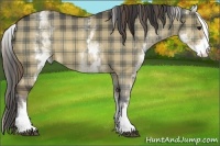 Horse Color:Plaid  White Spotted Brown Dun 
