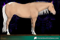 Horse Color:Silver Sable Champagne Tobiano 
