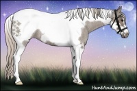 Horse Color:Silver Grullo Roan Tobiano Frame 