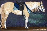 Horse Color:White Spotted Red Dun Rabicano