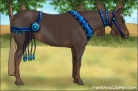 Horse Color:Liver Chestnut Rabicano