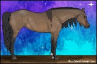 Horse Color:Bay Dun
