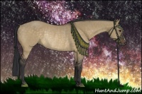 Horse Color:Bay Dun Rabicano