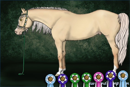 Horse Color:Silver Amber Champagne Dun Sabino