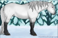 Horse Color:Silver Brown Chinchilla Dun 