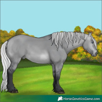 Horse Color:Silver Brown Chinchilla Dun